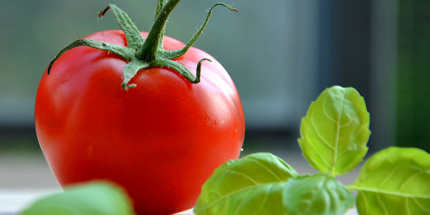 tomato weightloss and healthy eating kelowna
