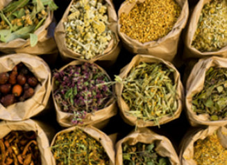 natural Chinese medicine in Kelowna - Master Herbalist